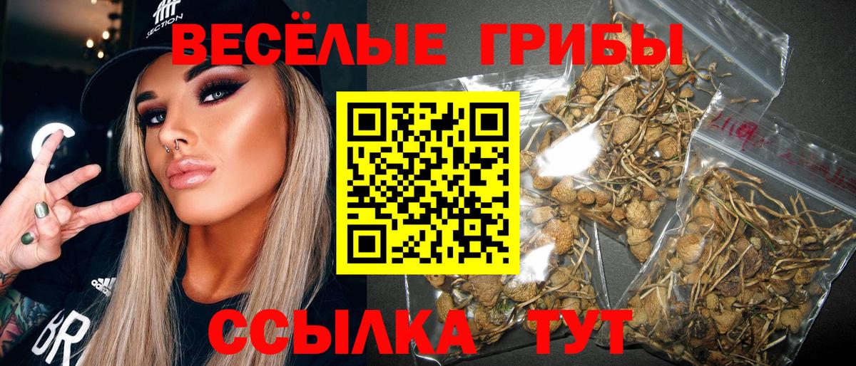 Подольск  Псилоцибиновые грибы прущие грибы  Галлюциногенные грибы GOLDEN TEACHER  Вход с VPN 